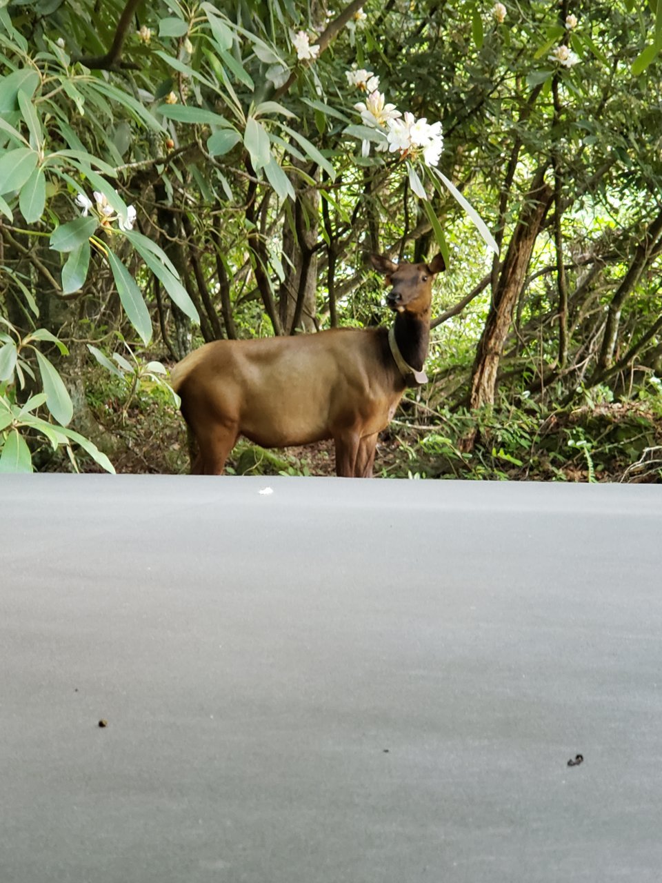 20190629_170141.jpg