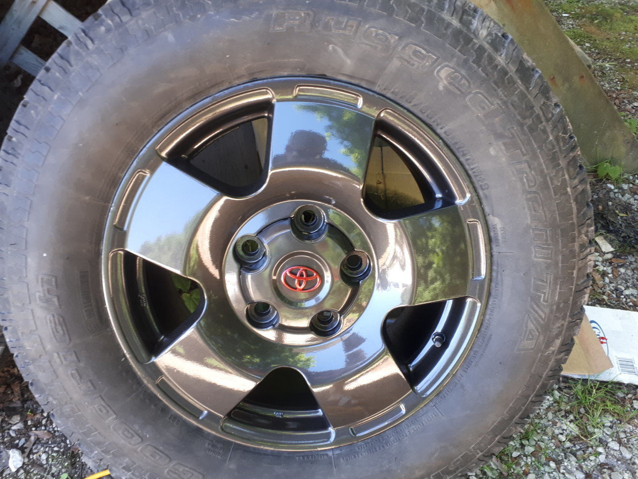 20190630_113158.jpg