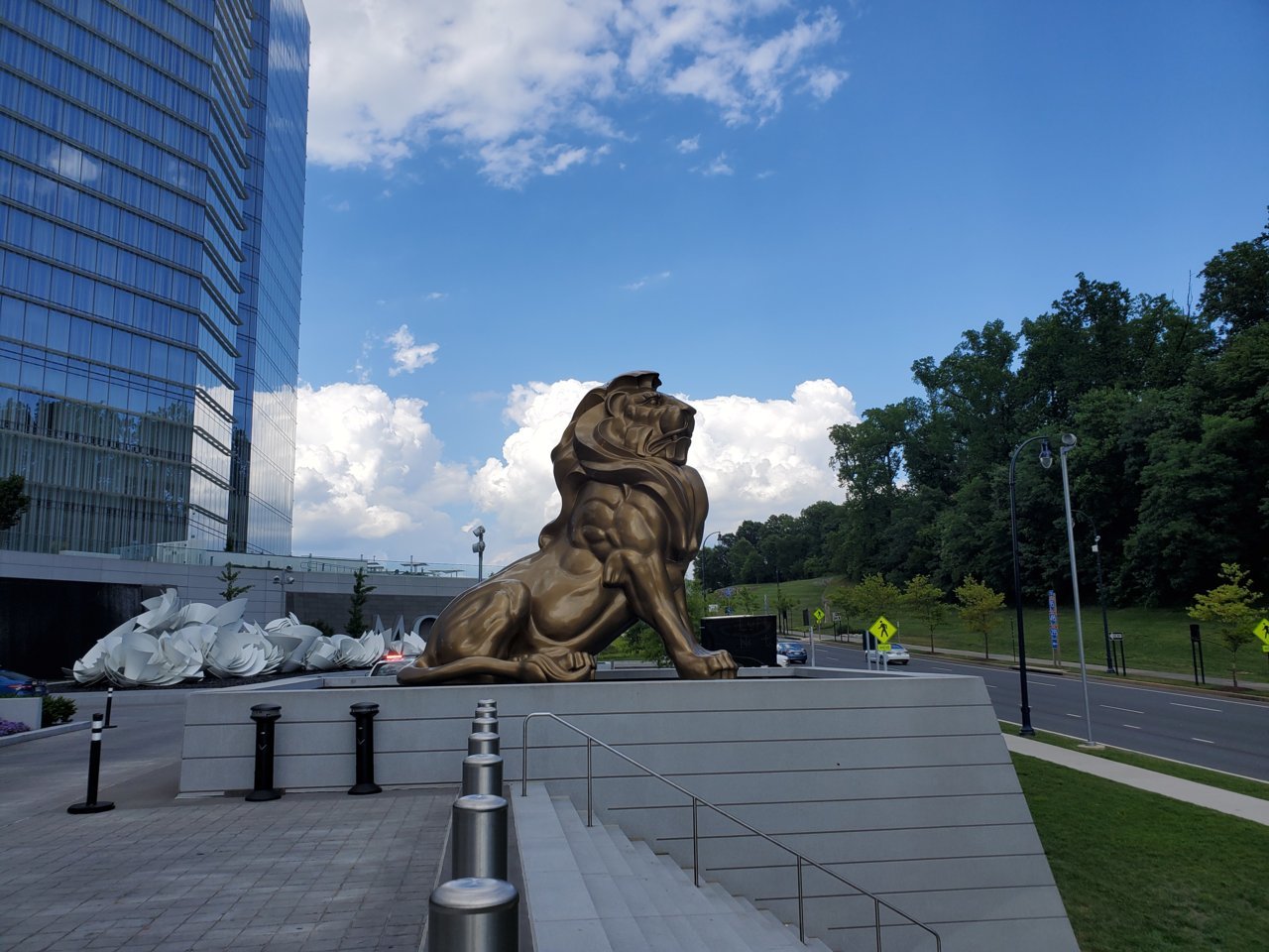 20190703_162042.jpg