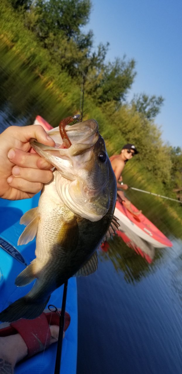 20190705_191749.jpg