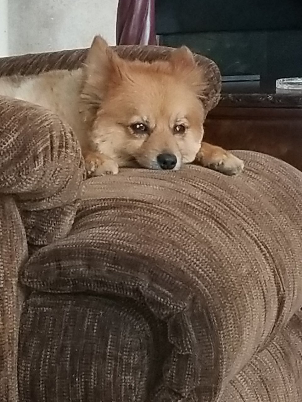 20190706_132346.jpg