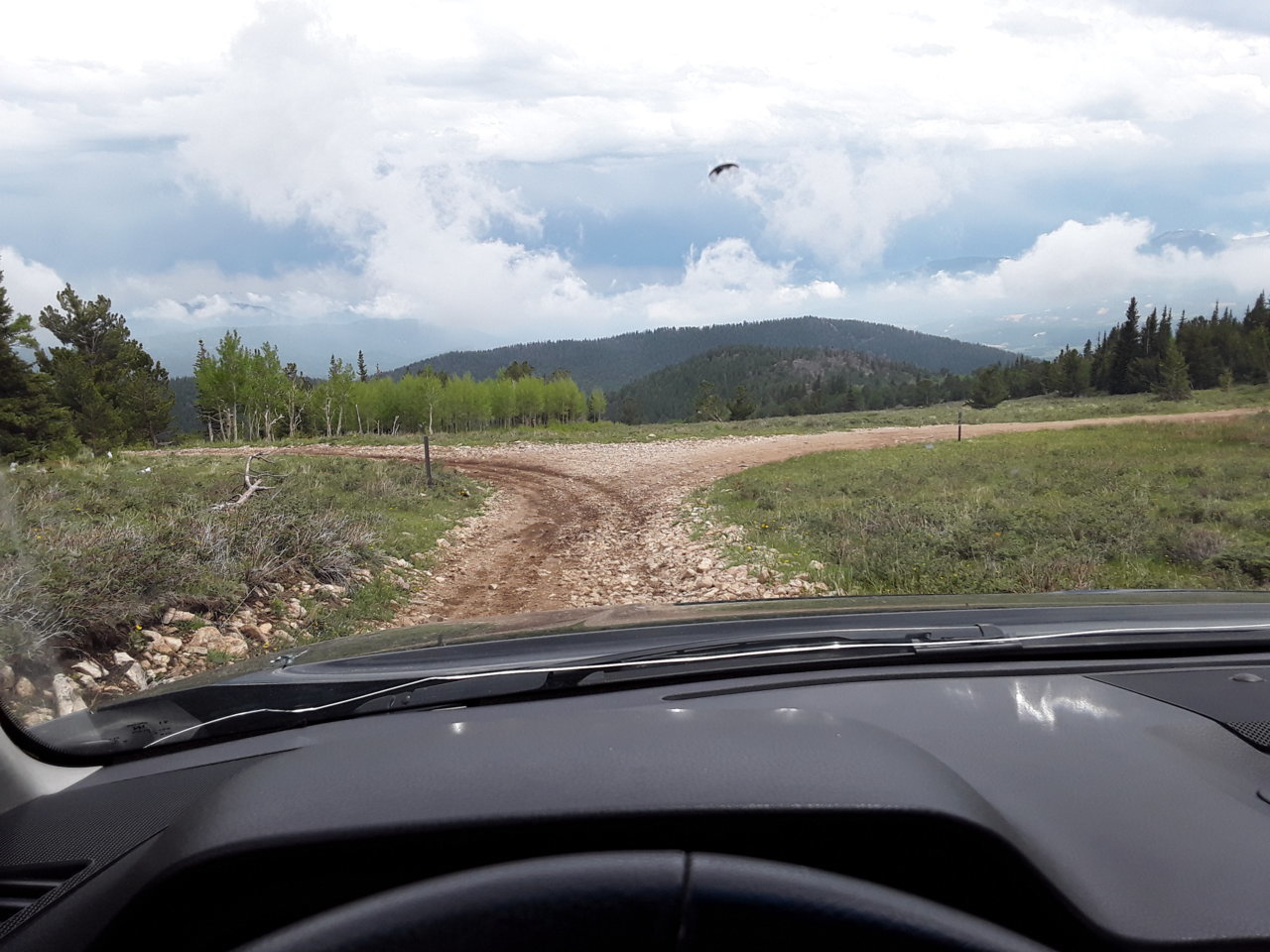 20190706_140323.jpg