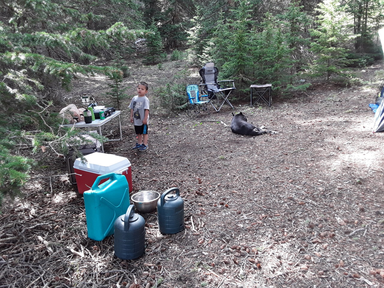 20190706_155038.jpg