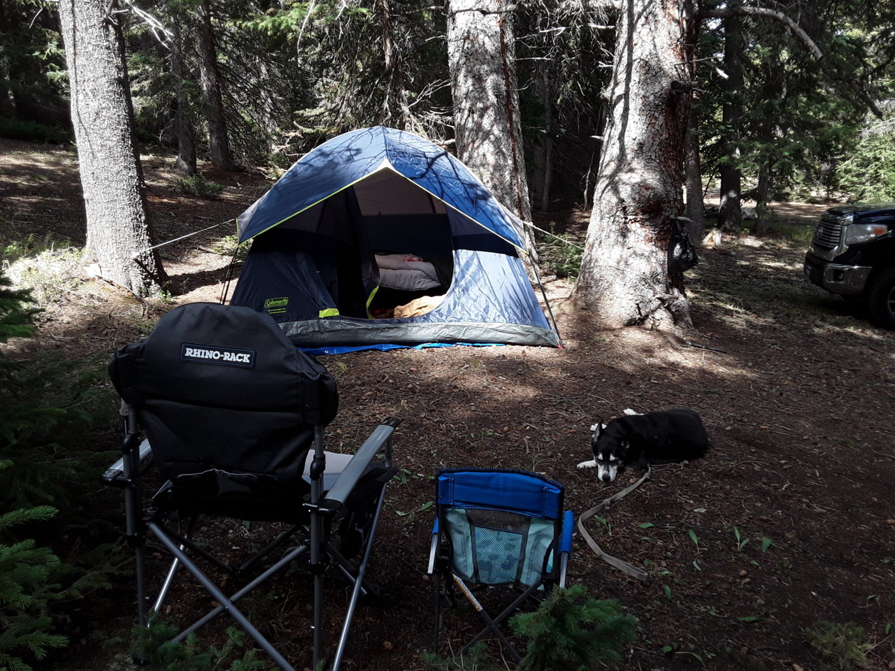 20190706_155056.jpg