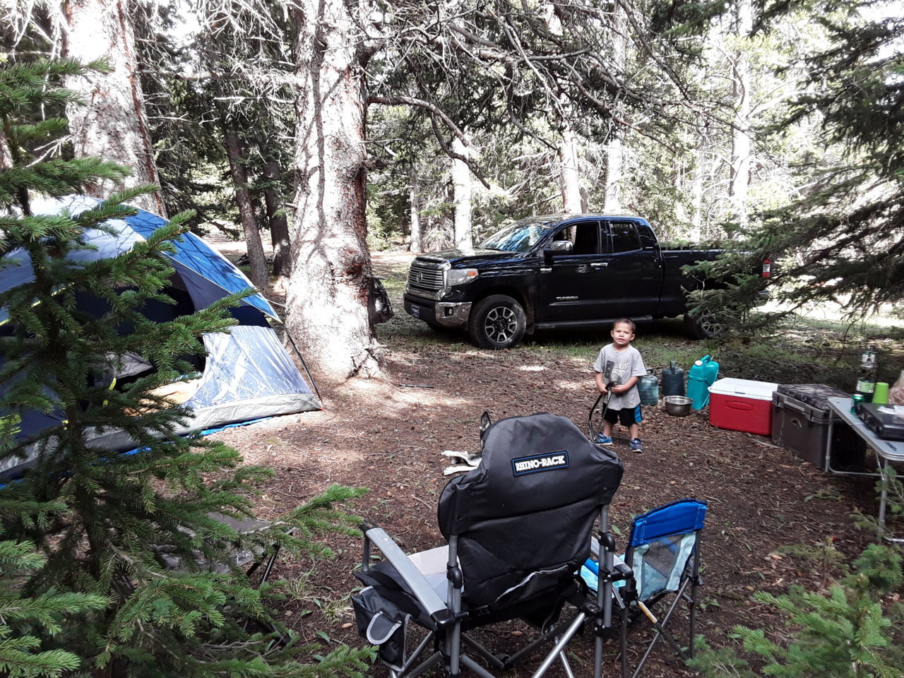 20190706_155111.jpg