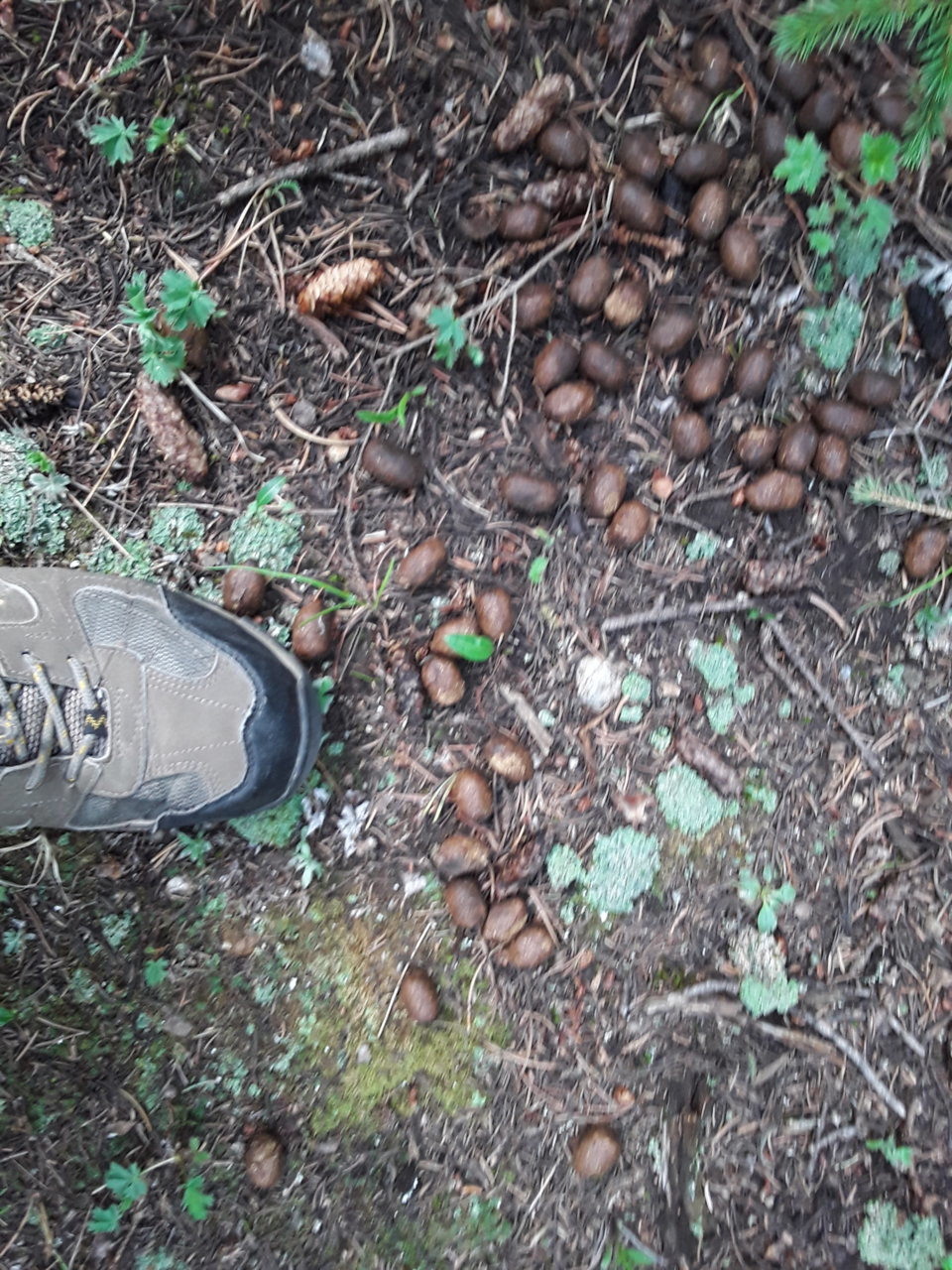 20190706_155131.jpg