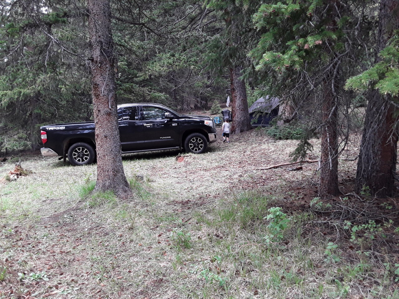 20190706_163012.jpg