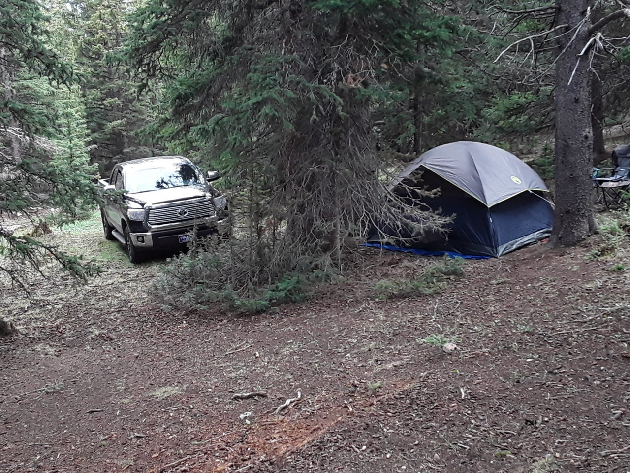 20190706_163713.jpg