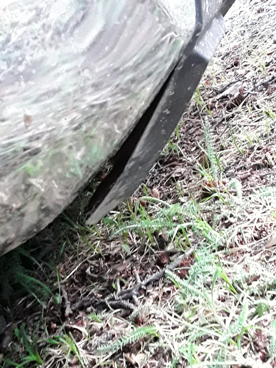 20190706_183701.jpg