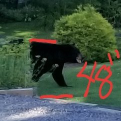 20190713_191634.jpg