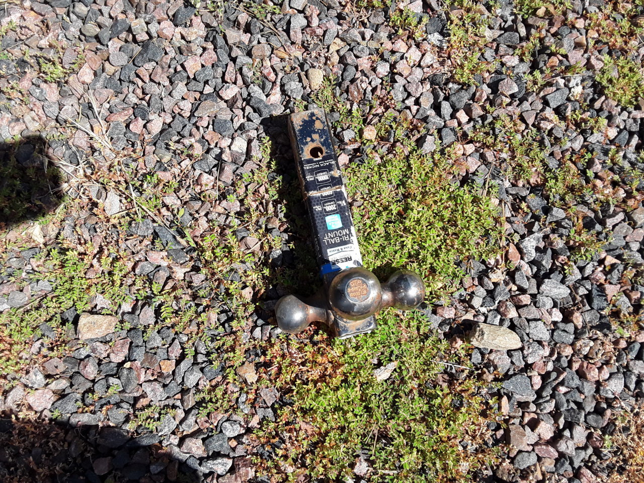 20190714_101444.jpg