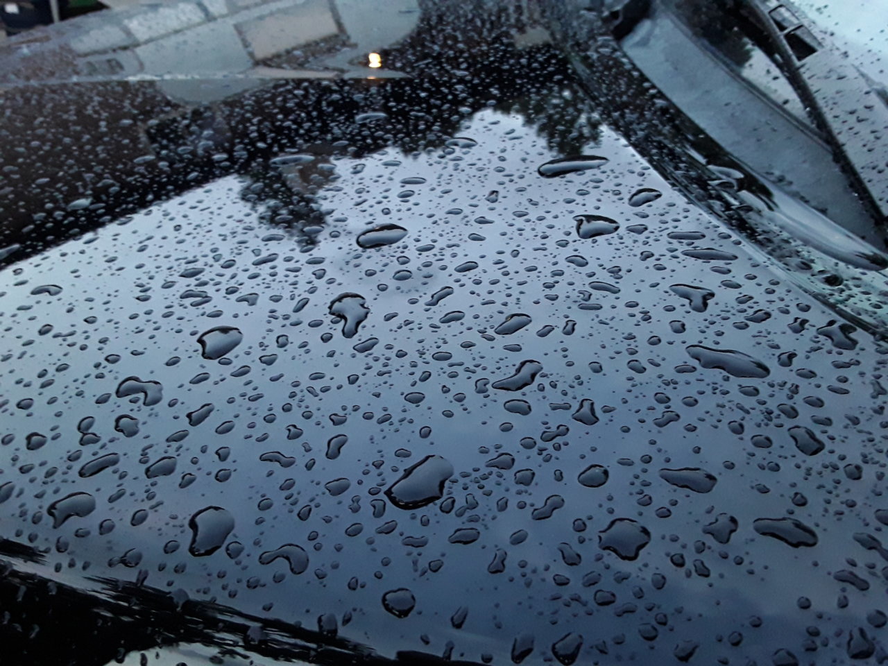 20190714_202625.jpg