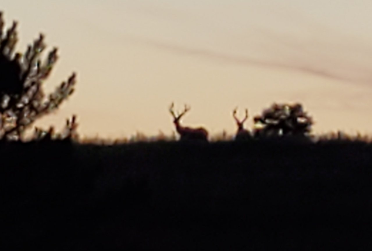 20190719_133634.jpg