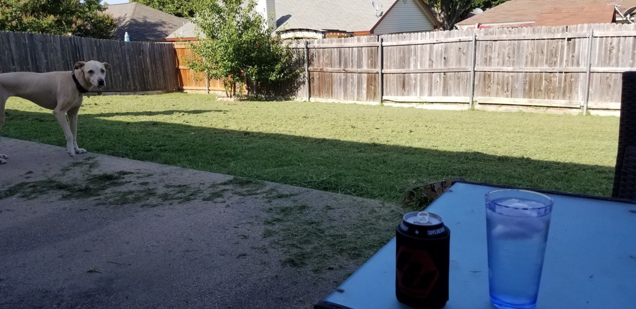20190719_174845.jpg