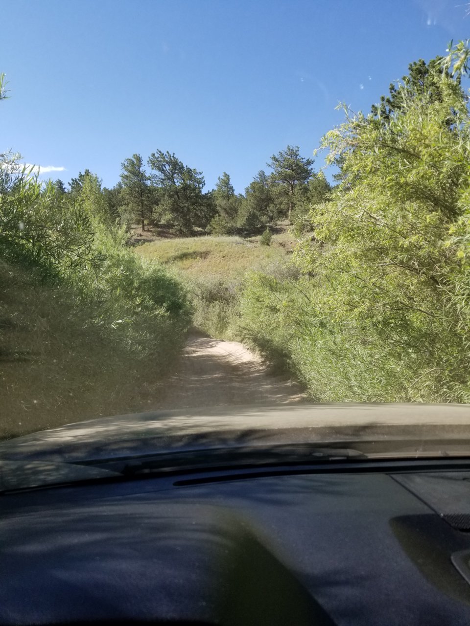 20190720_085537.jpg