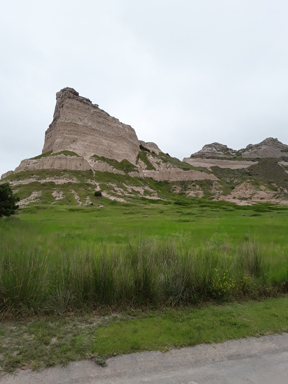 20190720_102443.jpg