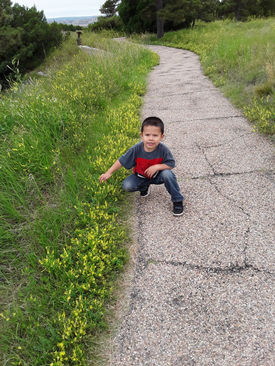 20190720_103951.jpg
