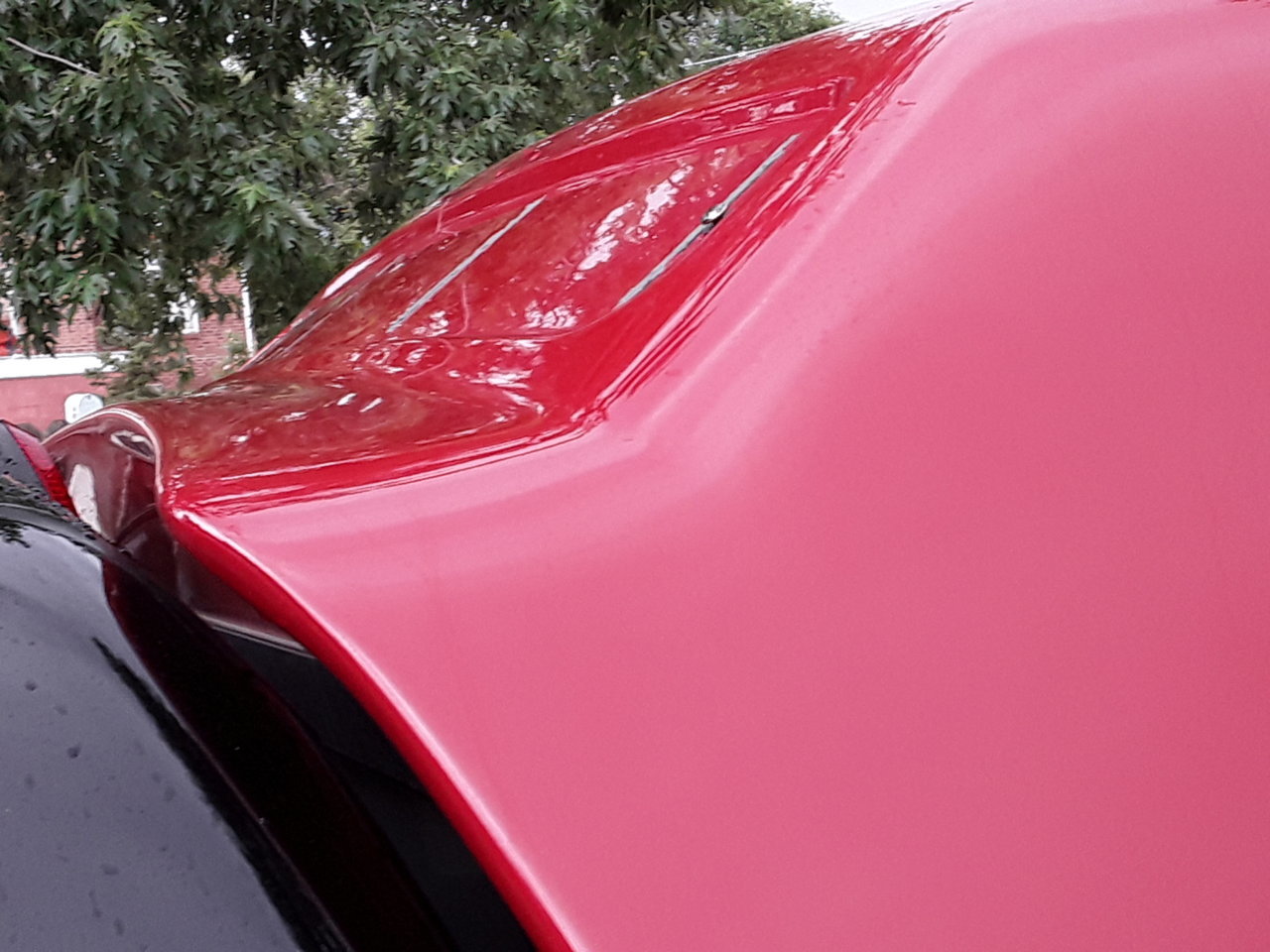 20190720_150951.jpg