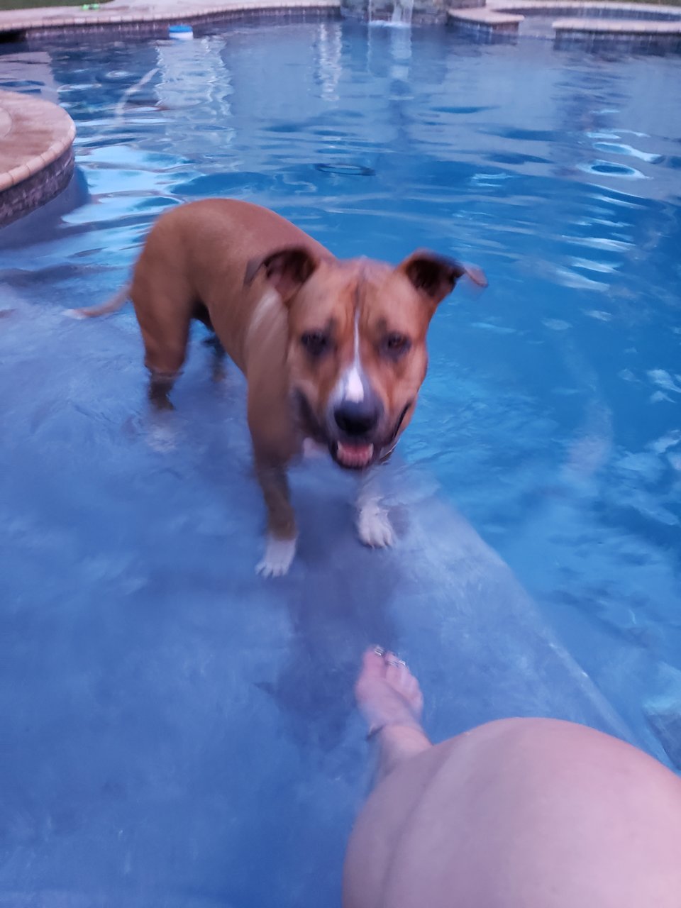 20190725_194056.jpg