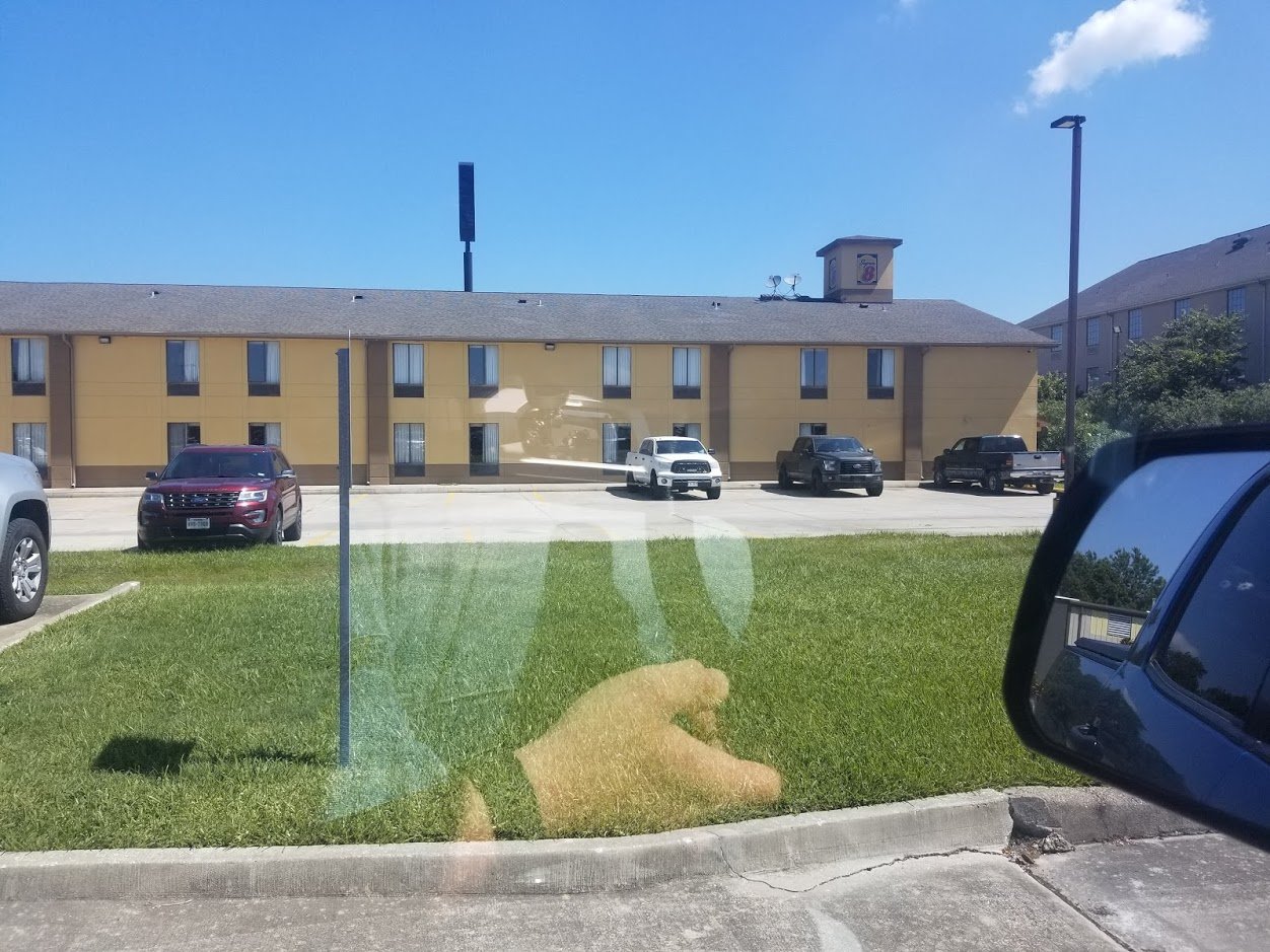 20190726_110710.jpg