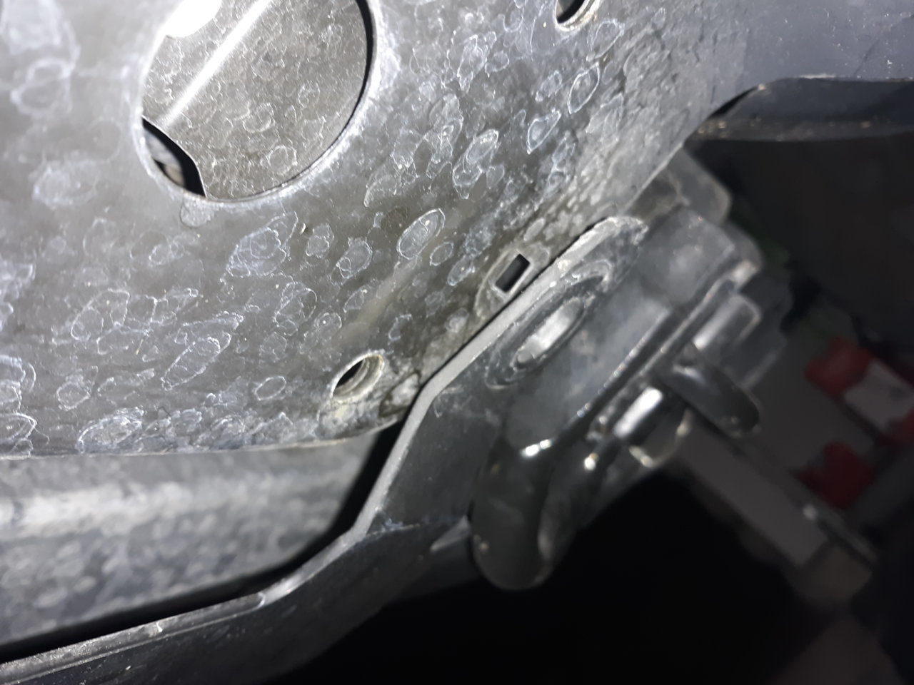 20190727_012821.jpg