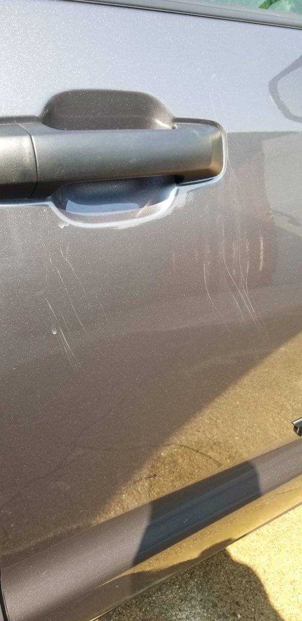 20190727_100555.jpg