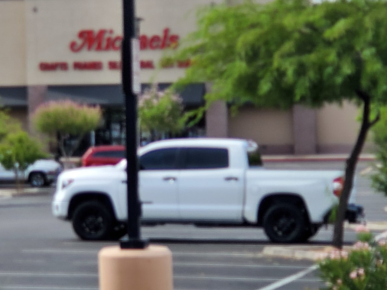 20190728_094617.jpg