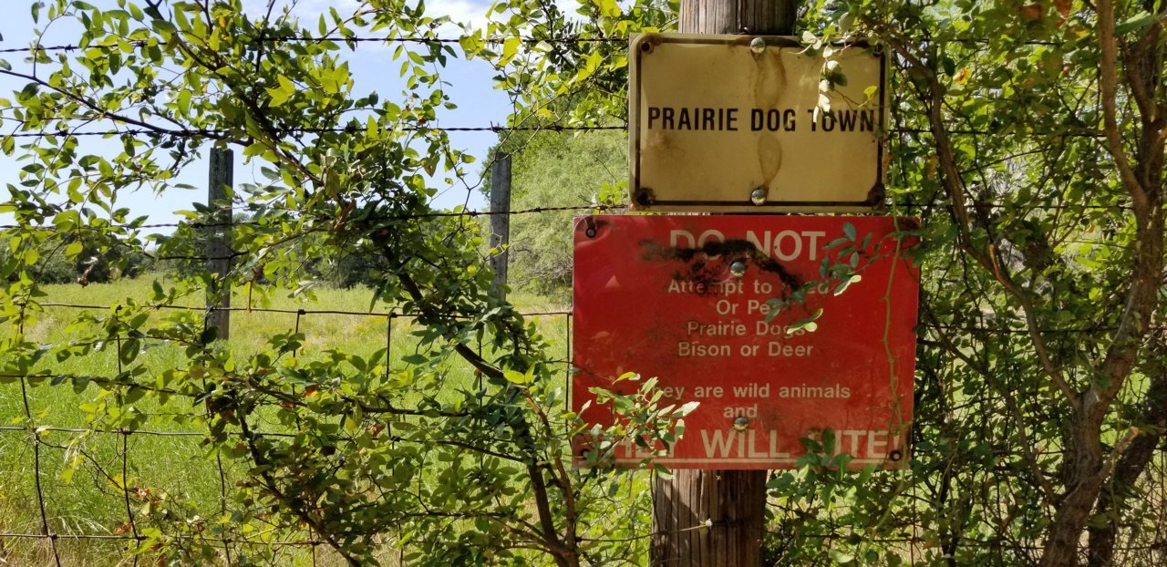 20190728_105517.jpg