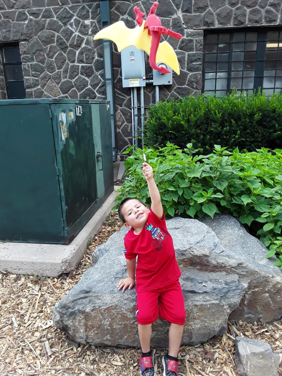 20190728_114117.jpg
