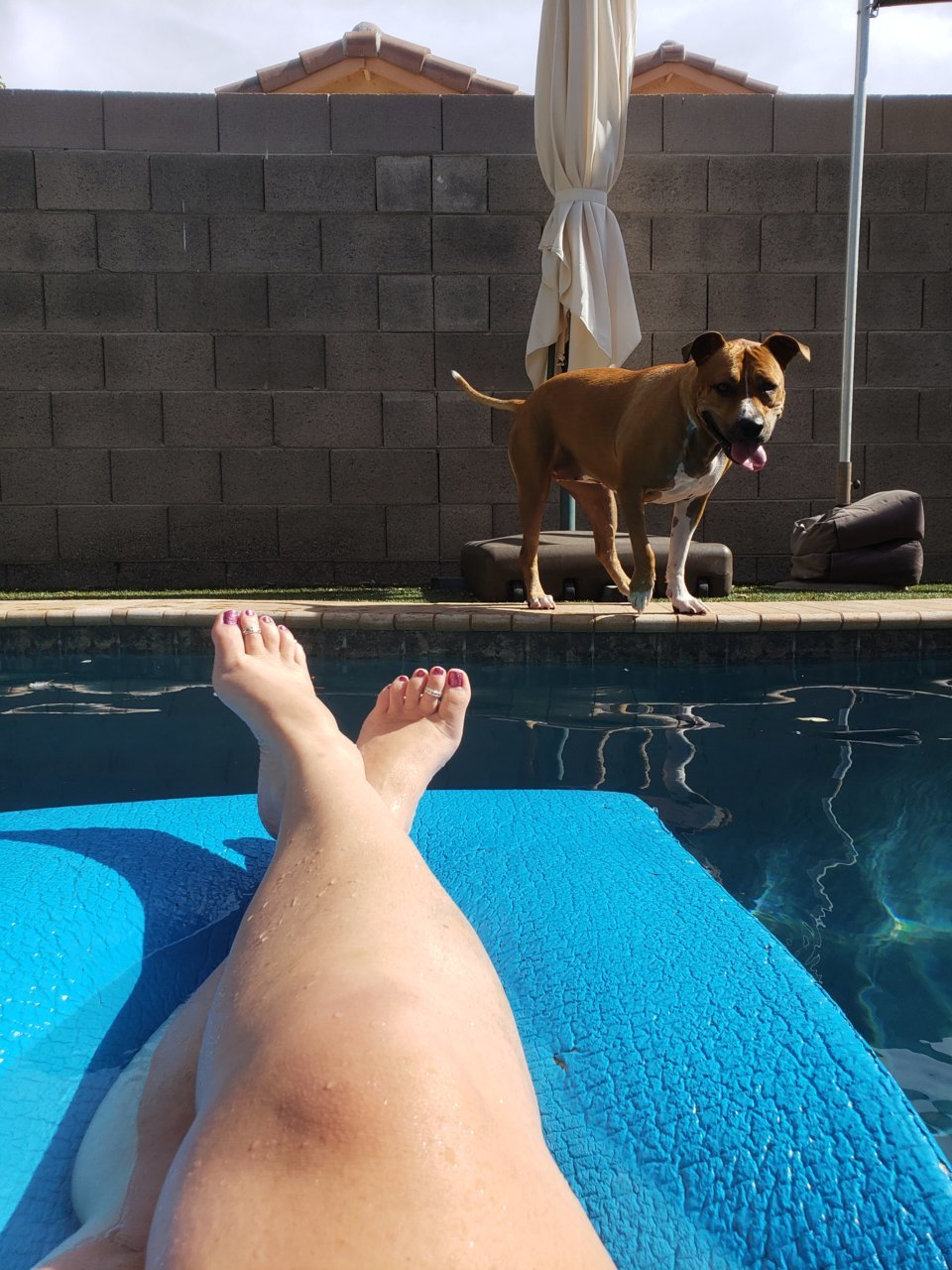 20190728_155647.jpg