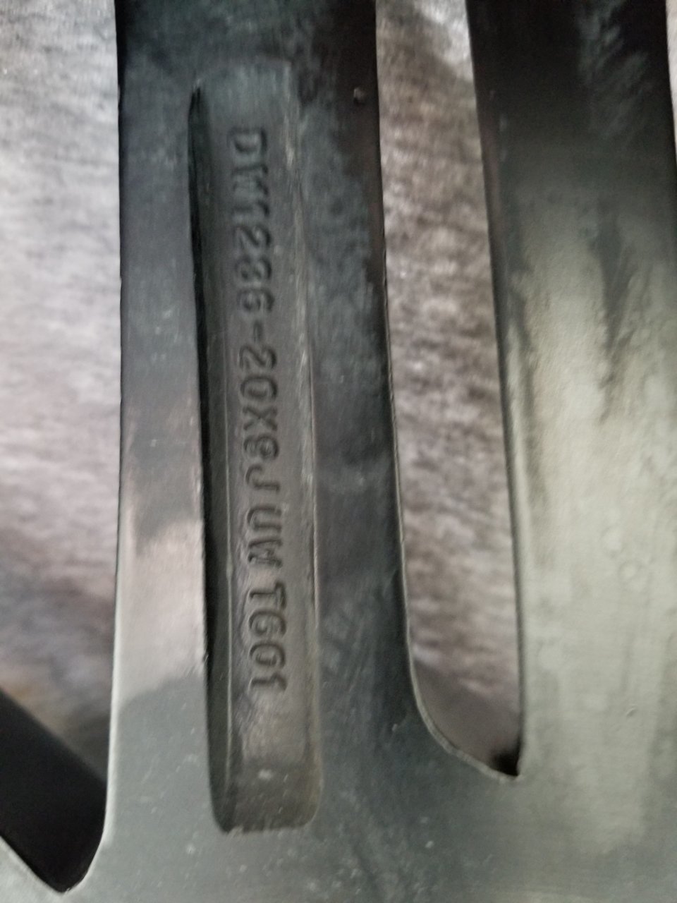 20190730_144439.jpg