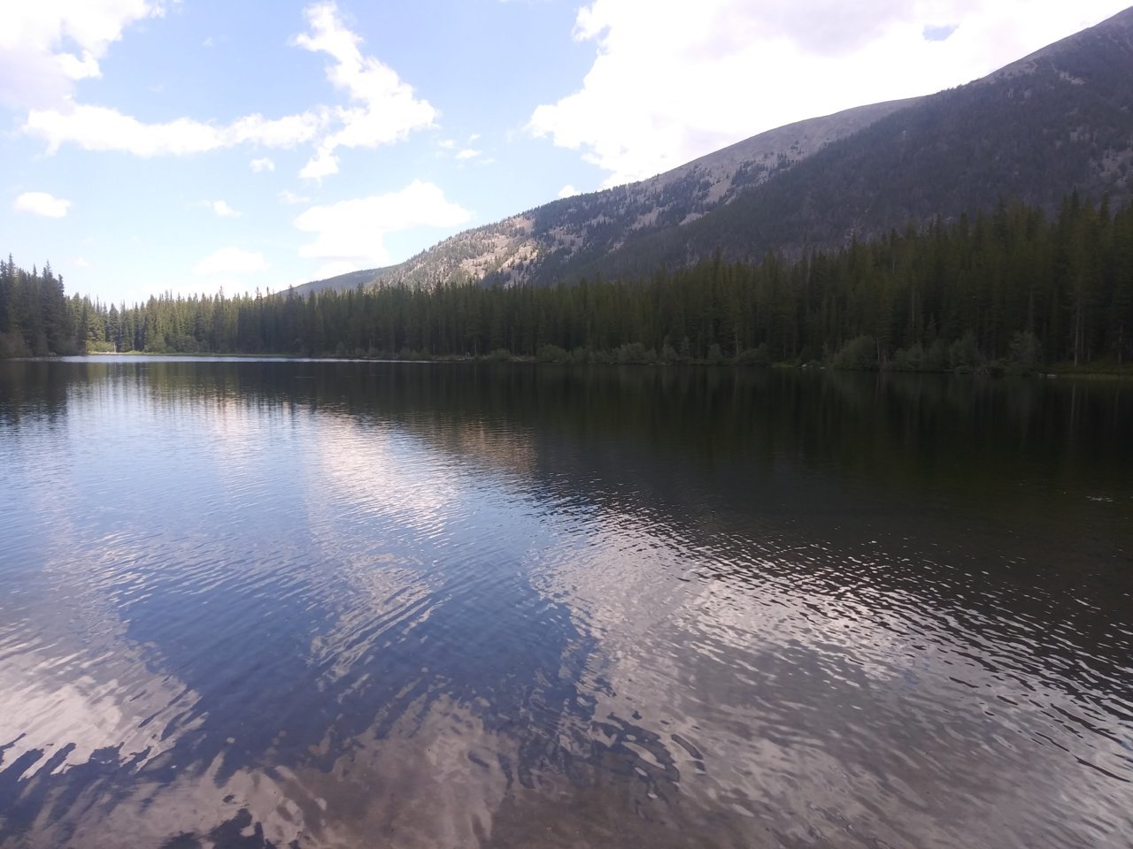 20190731_130530.jpg