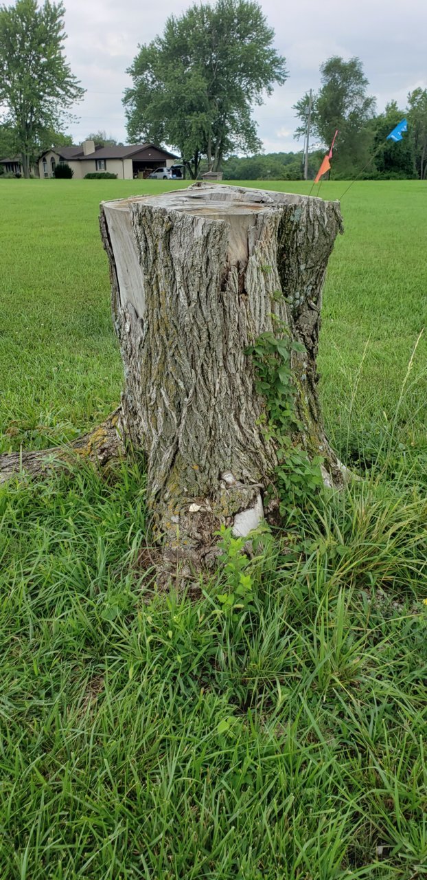 20190802_150821.jpg