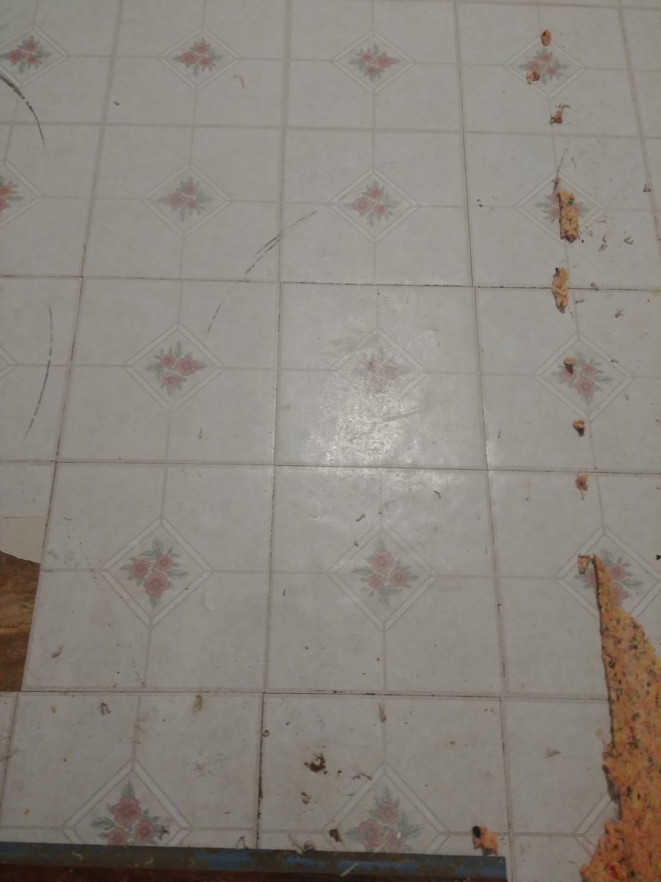20190803_081514.jpg