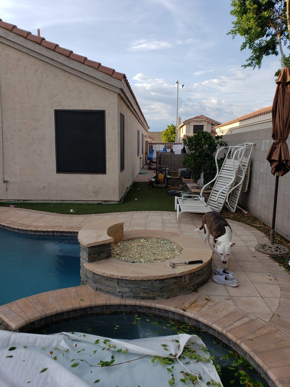 20190805_182735.jpg