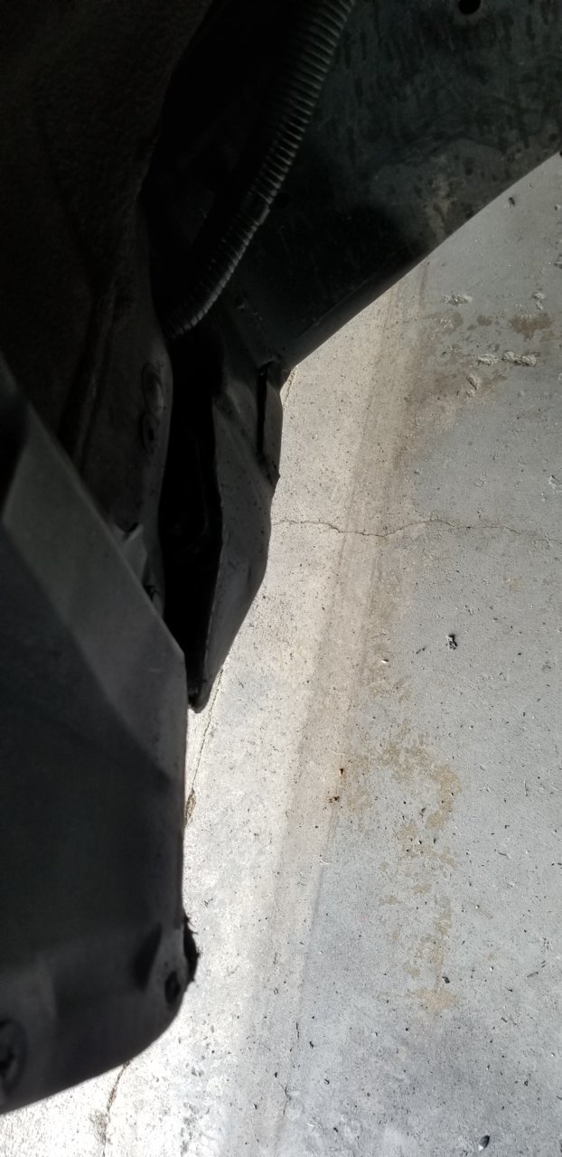 20190810_132123.jpg