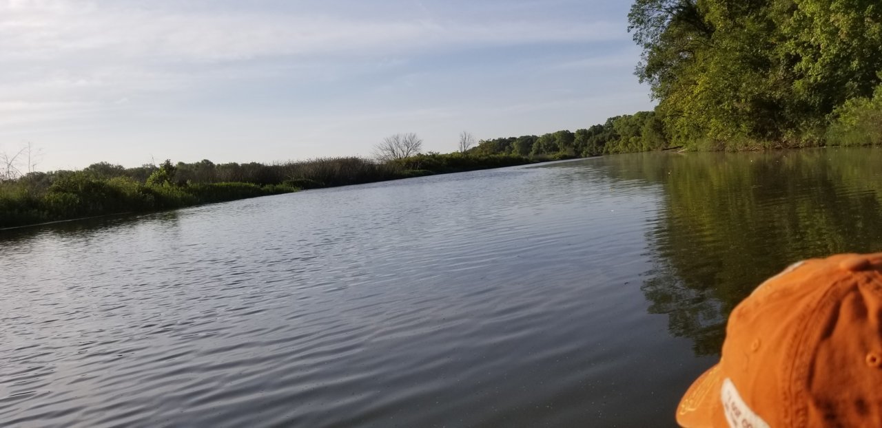 20190811_082149.jpg