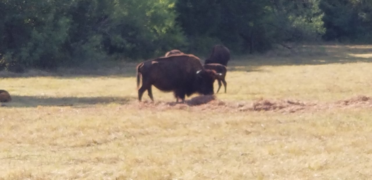 20190811_092049.jpg
