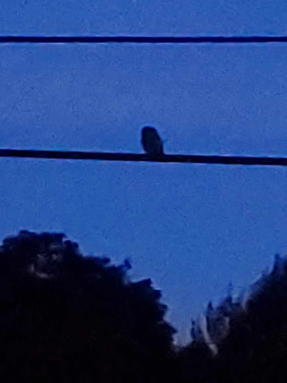 20190813_204252.jpg