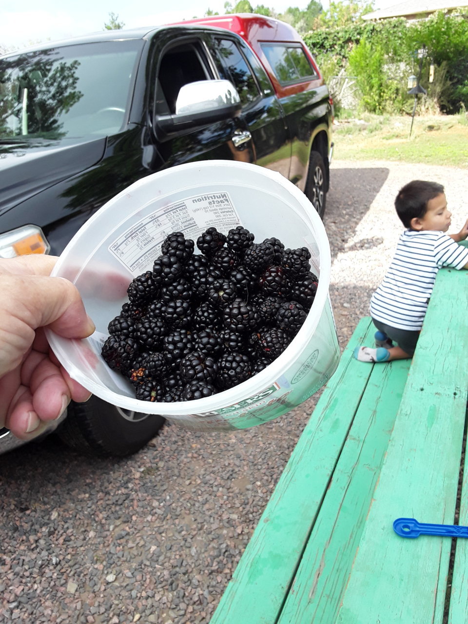 20190818_090542.jpg