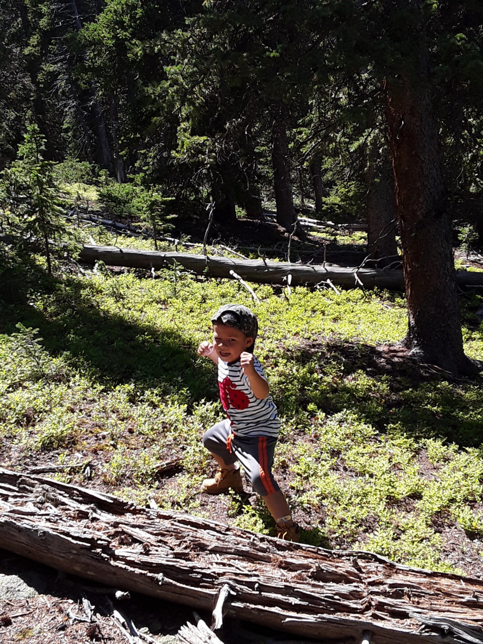 20190818_134558.jpg