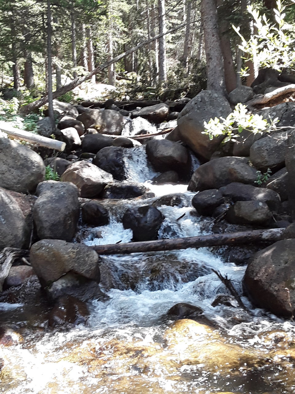 20190818_142523.jpg