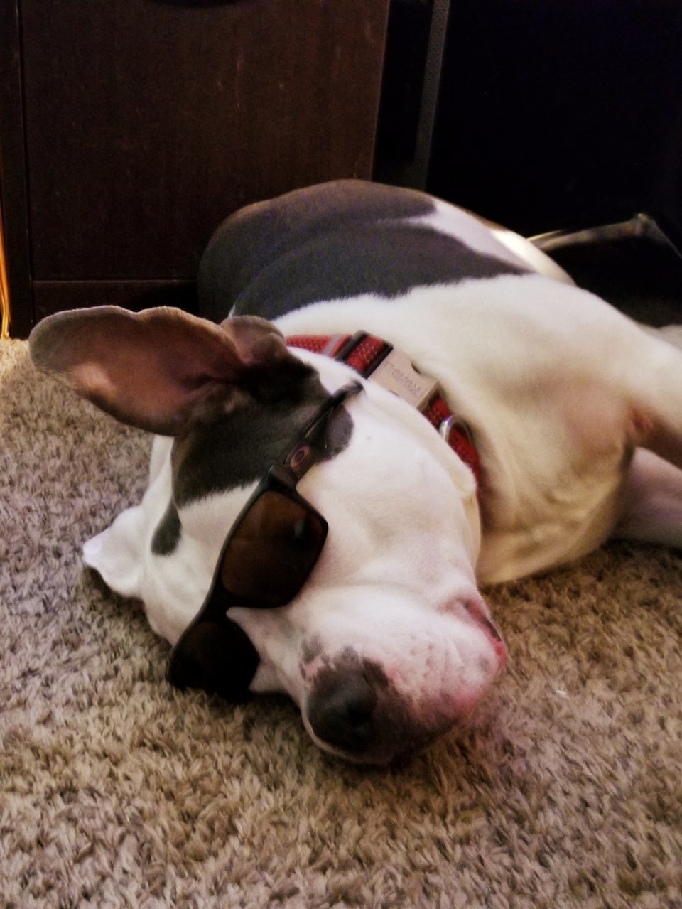 20190820_122101.jpg