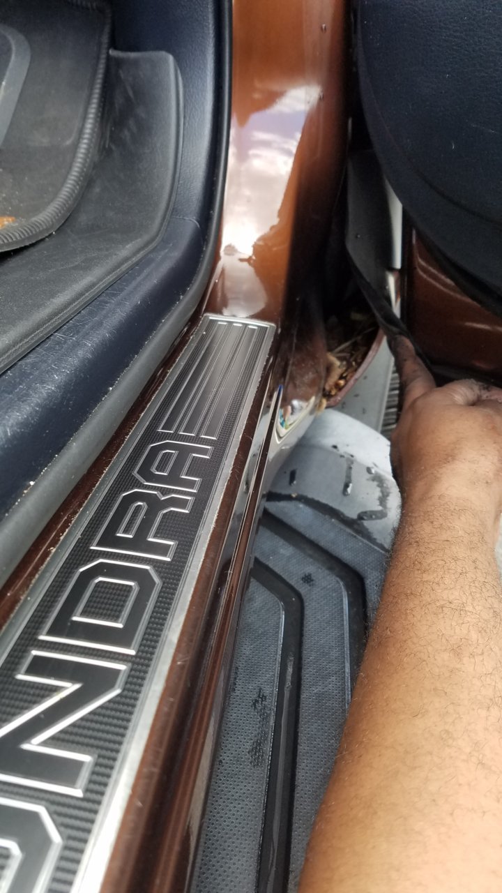 20190824_151656.jpg