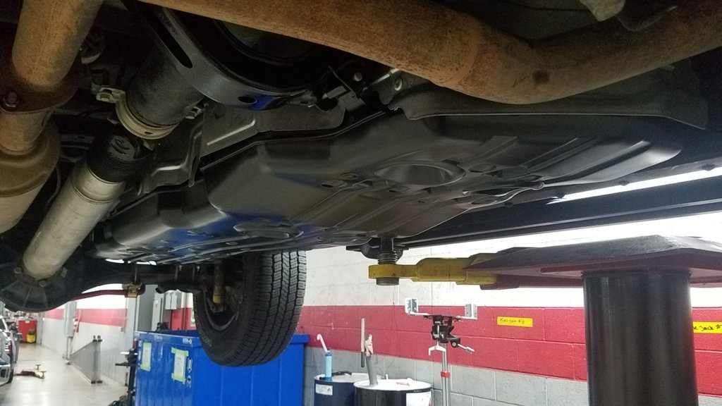 20190828_084526[1].jpg