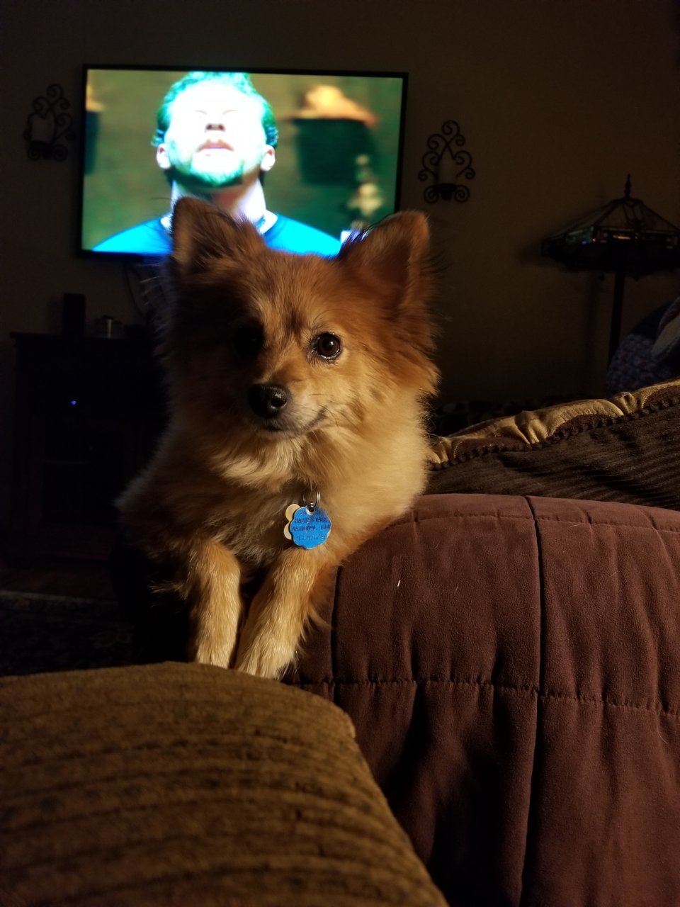 20190830_215341.jpg