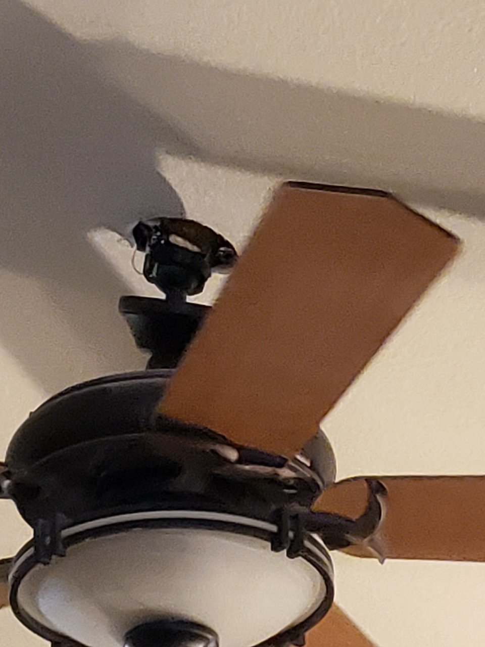 20190901_084701.jpg