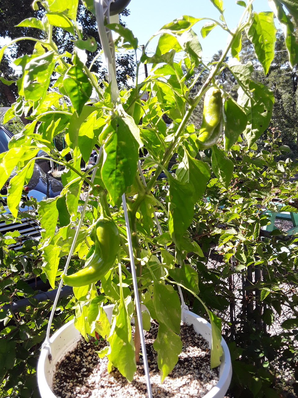 20190902_152840.jpg