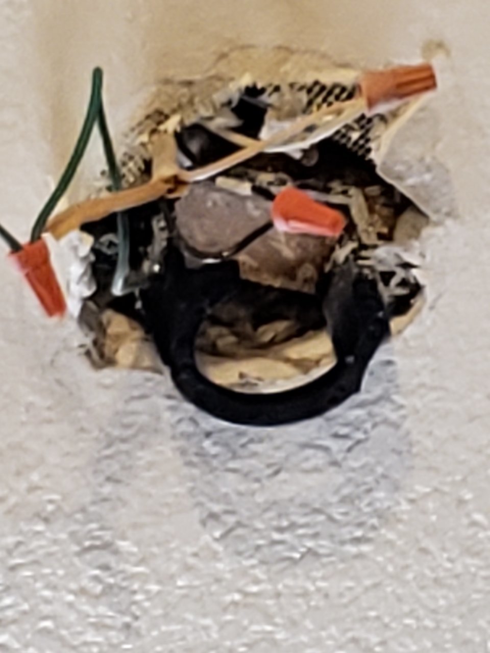 20190903_131042.jpg