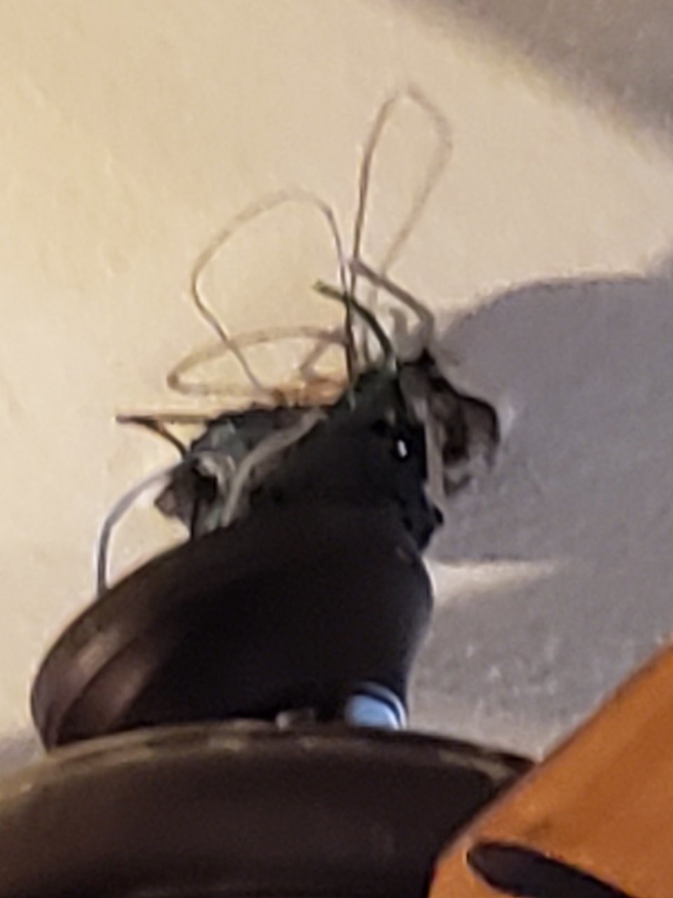 20190903_131058.jpg